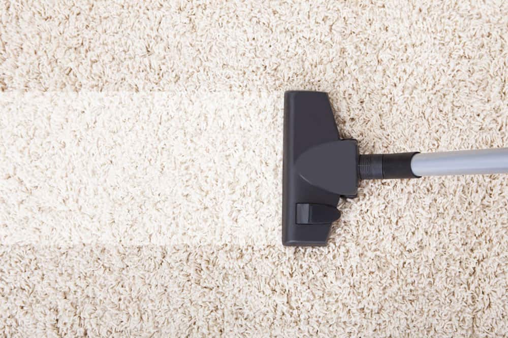 Thanksgiving Professional Carpet Cleaning - FGK Services, Inc. 